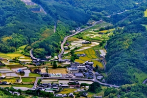 葱翠大地