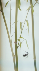 春竹如诗