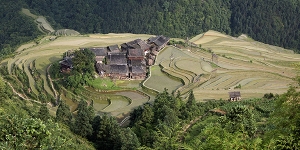 家园