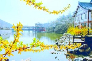 明媚