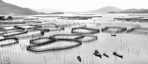 《水乡韵味》