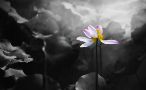 月晓风清