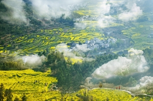 大山情怀