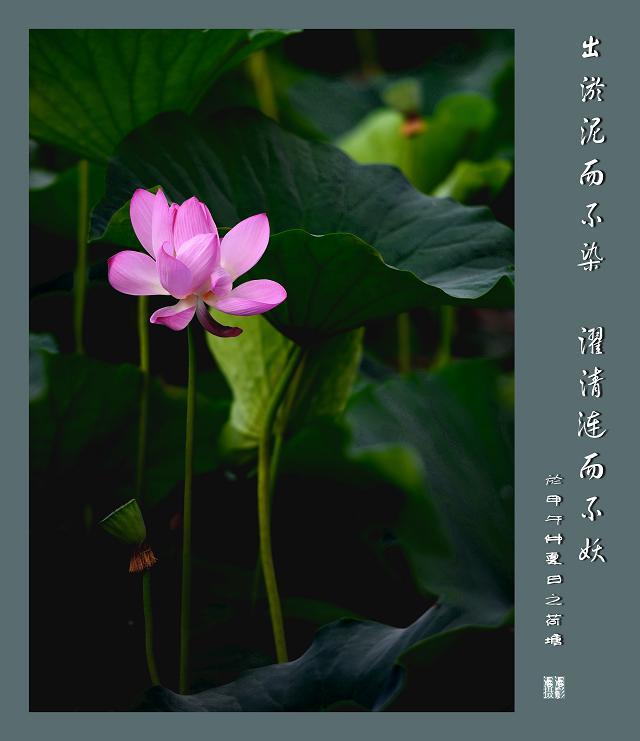 百年老酒坊