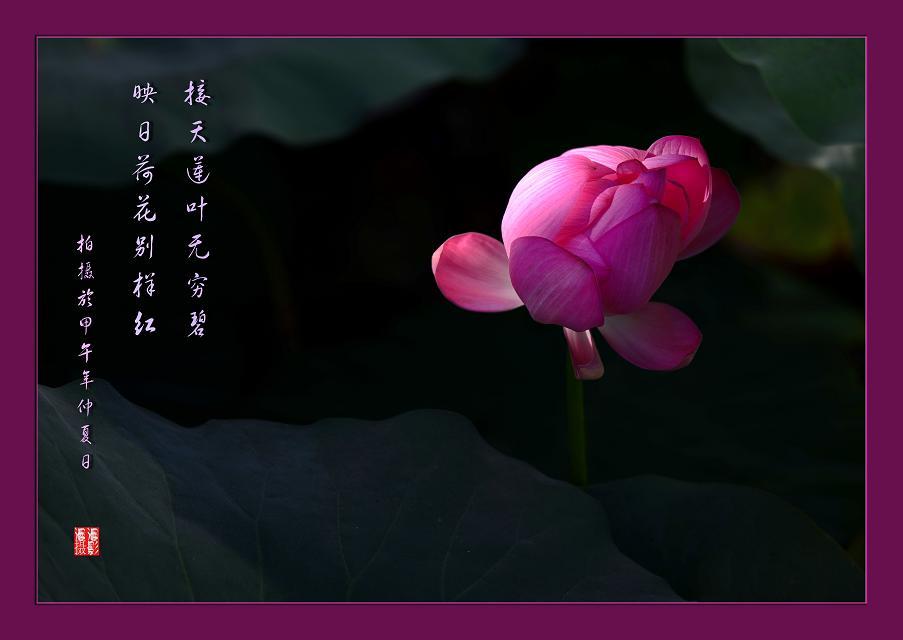 百年老酒坊