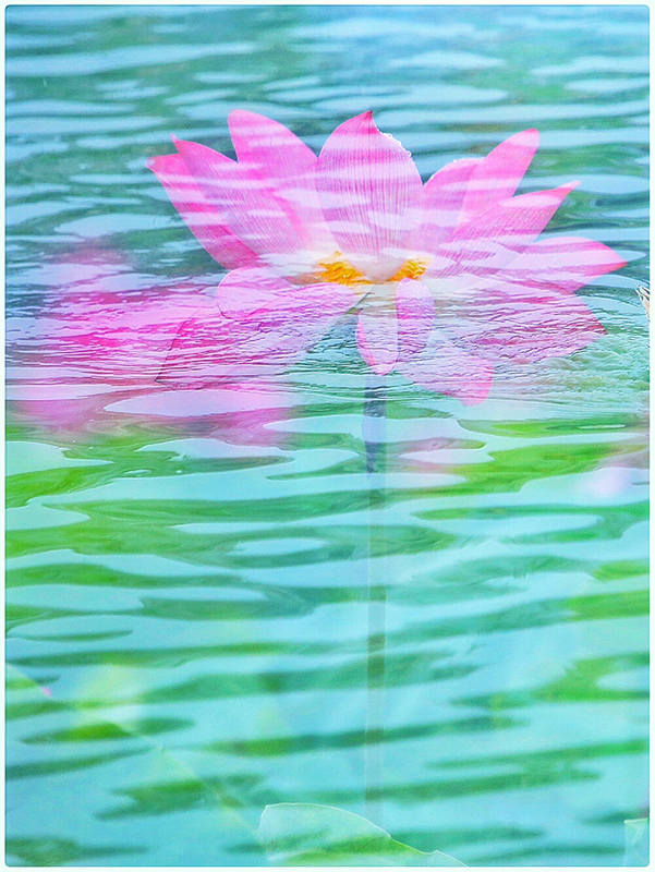 百年老酒坊