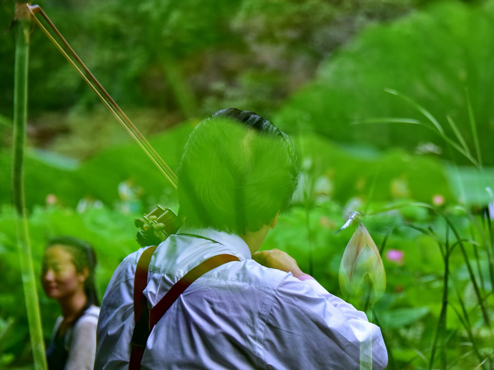 百年老酒坊