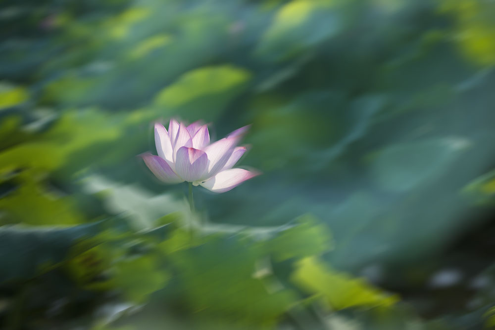 百年老酒坊
