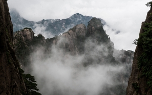 只在此山中，云深不知...