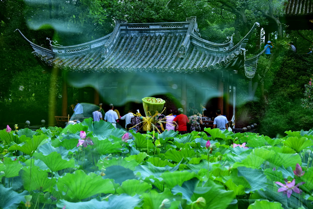 百年老酒坊