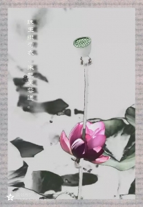 水墨荷花