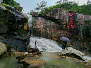 探秘桃花源
