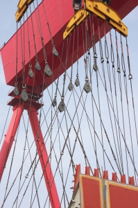 网