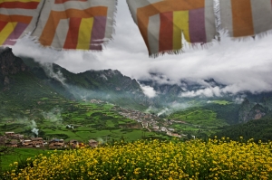 春满家园