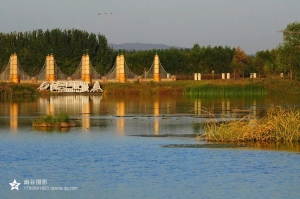 蒲河湿地