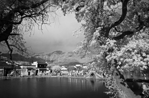 梦里乡村-2