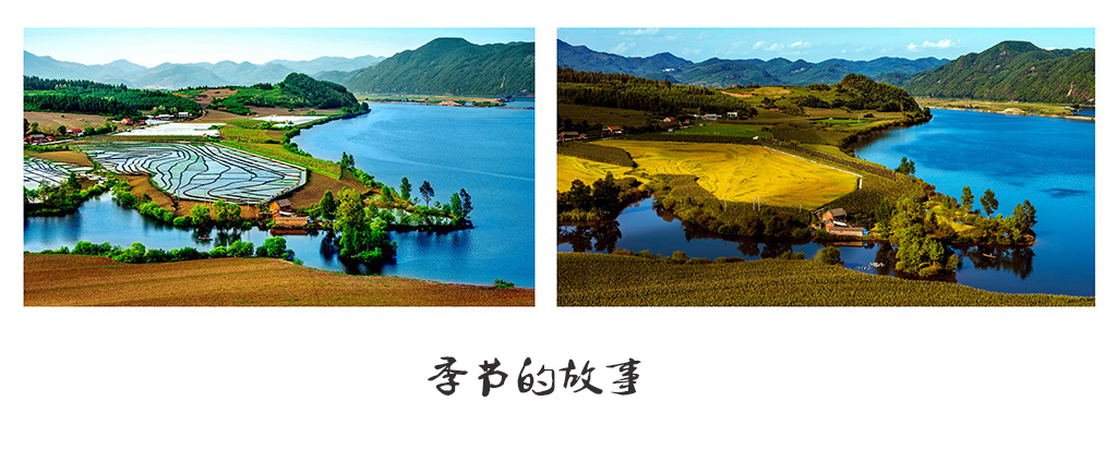 百年老酒坊
