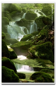 高山流水