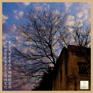 岁月变迁