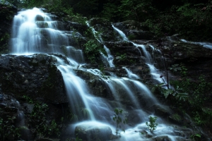 高山流水