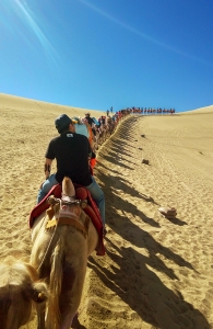 大漠之旅
