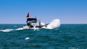 乘风破浪
