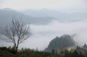 霓裳