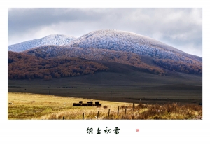 坝上初雪
