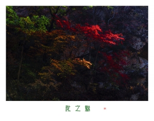 秋之魅
