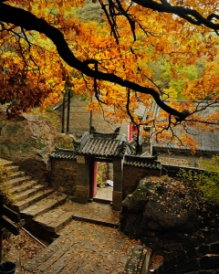 秋色正浓时