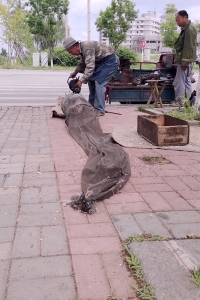 正在消失的手艺