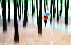 秋雨绵绵