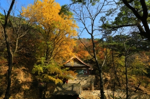 深 秋 古 寺