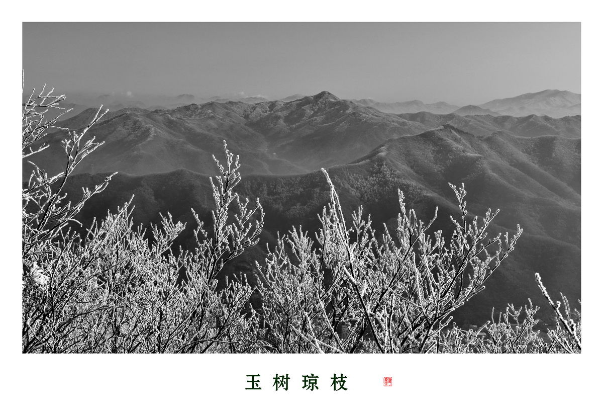 百年老酒坊