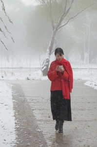 风雪丽人行