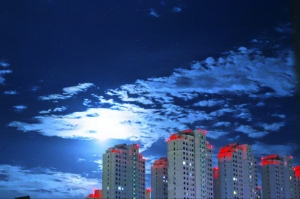 夜未央
