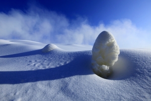 雪韵