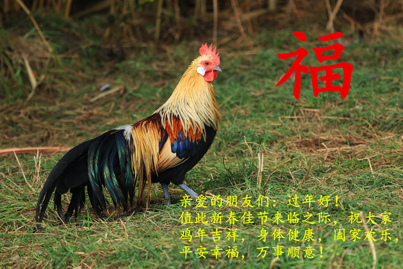 百年老酒坊