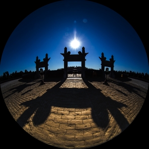 五谷丰登又一年（天坛...