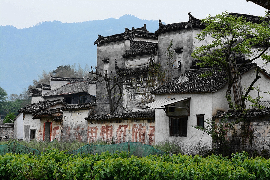 百年老酒坊