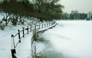 吴浩-北湖春雪1