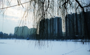 吴浩-北湖春雪
