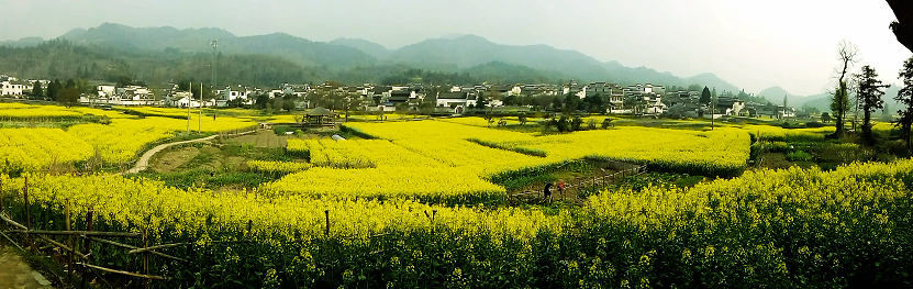百年老酒坊