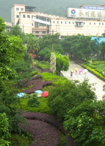 《春曲小雨伞》