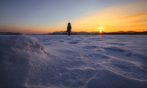 望夕阳