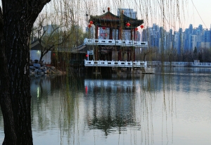 春光美景