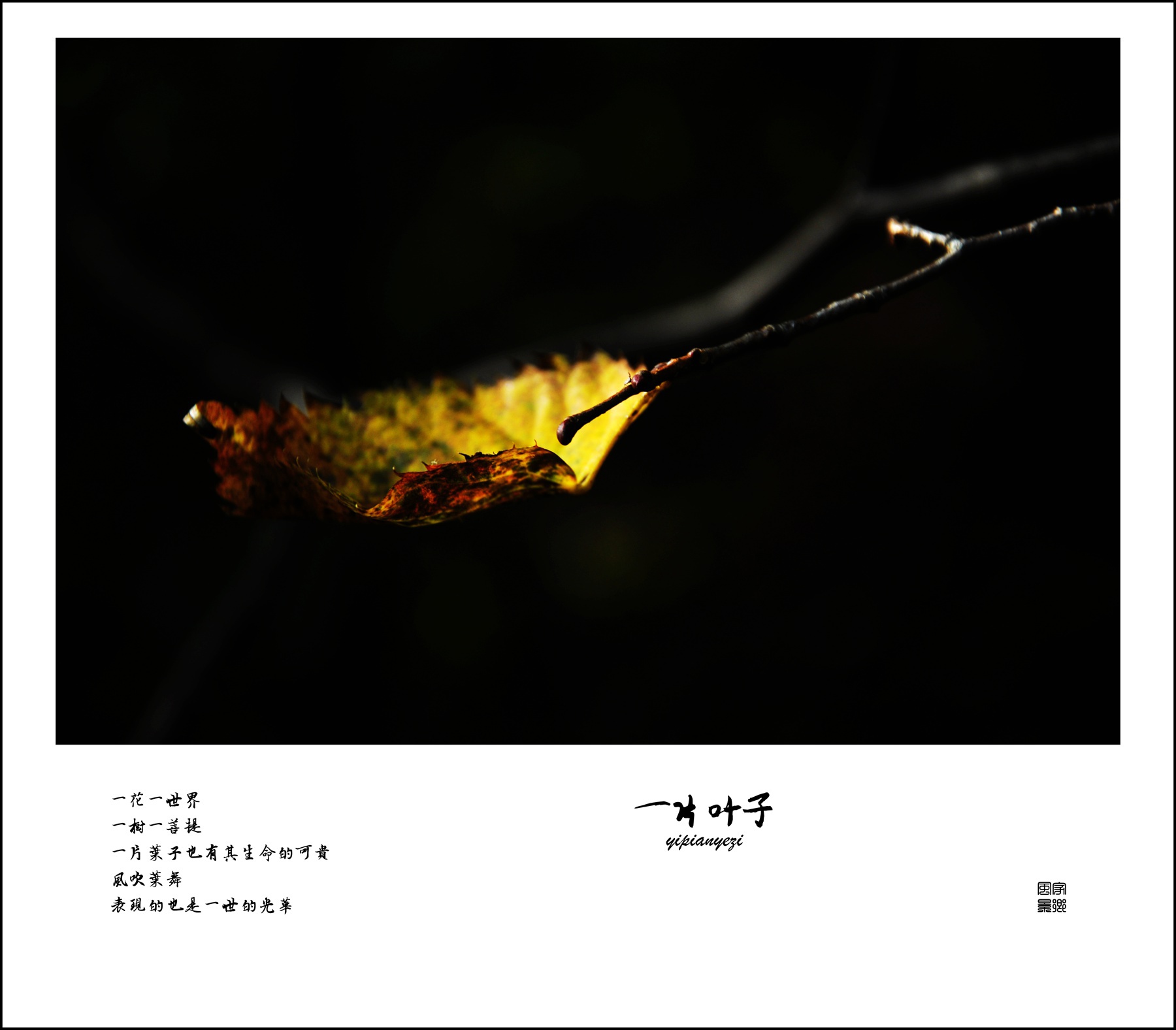 百年老酒坊