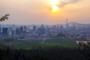 青山春望3