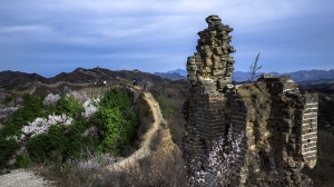 春到古北口野长城