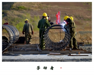 劳动者